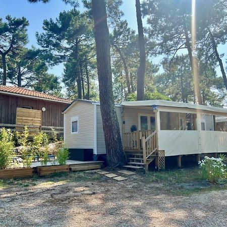 La Cabane Des Pins Lège-Cap-Ferret المظهر الخارجي الصورة