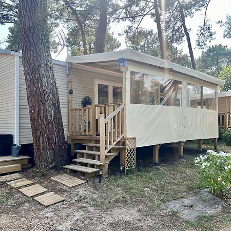 La Cabane Des Pins Lège-Cap-Ferret المظهر الخارجي الصورة