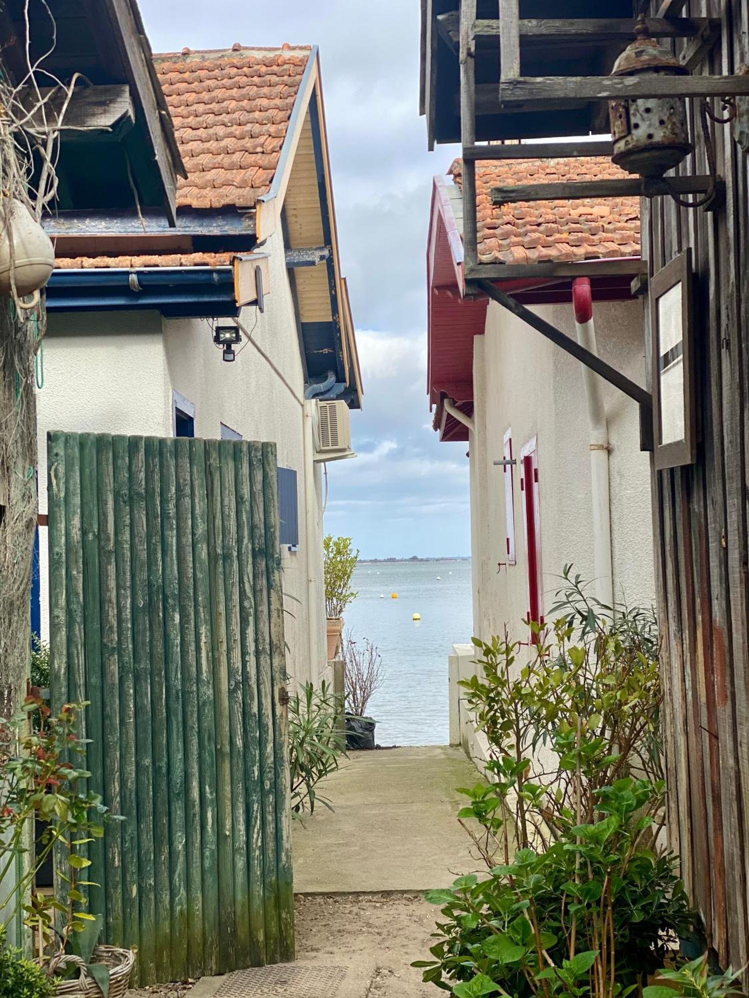 La Cabane Des Pins Lège-Cap-Ferret المظهر الخارجي الصورة