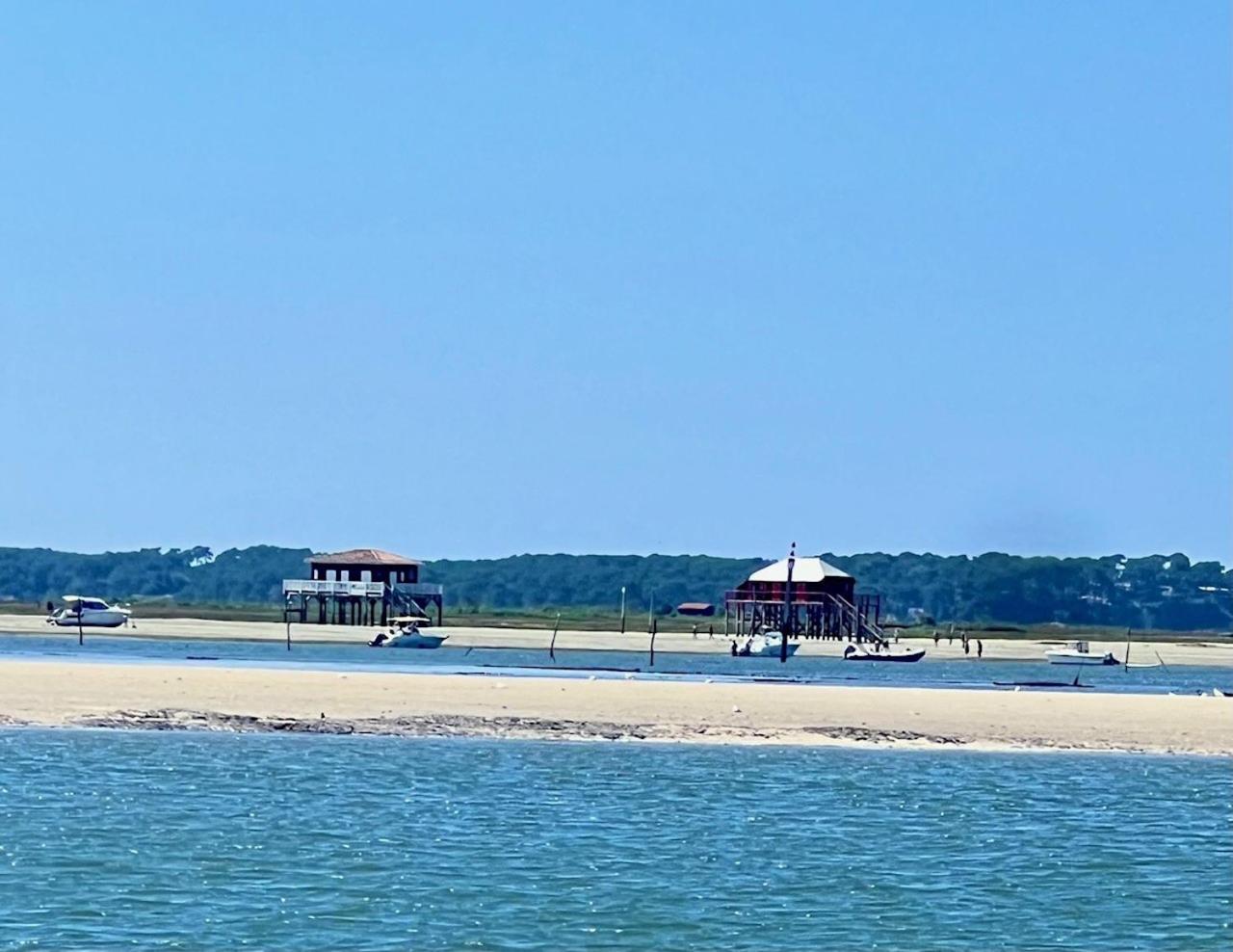 La Cabane Des Pins Lège-Cap-Ferret المظهر الخارجي الصورة